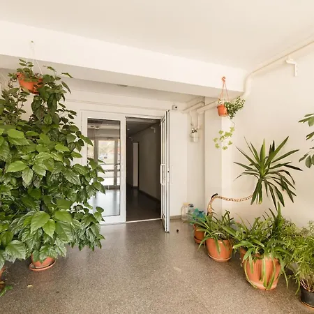 Tampa Apartment Brasov